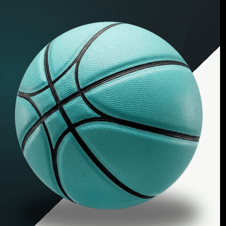 ProArc Indoor Basketball