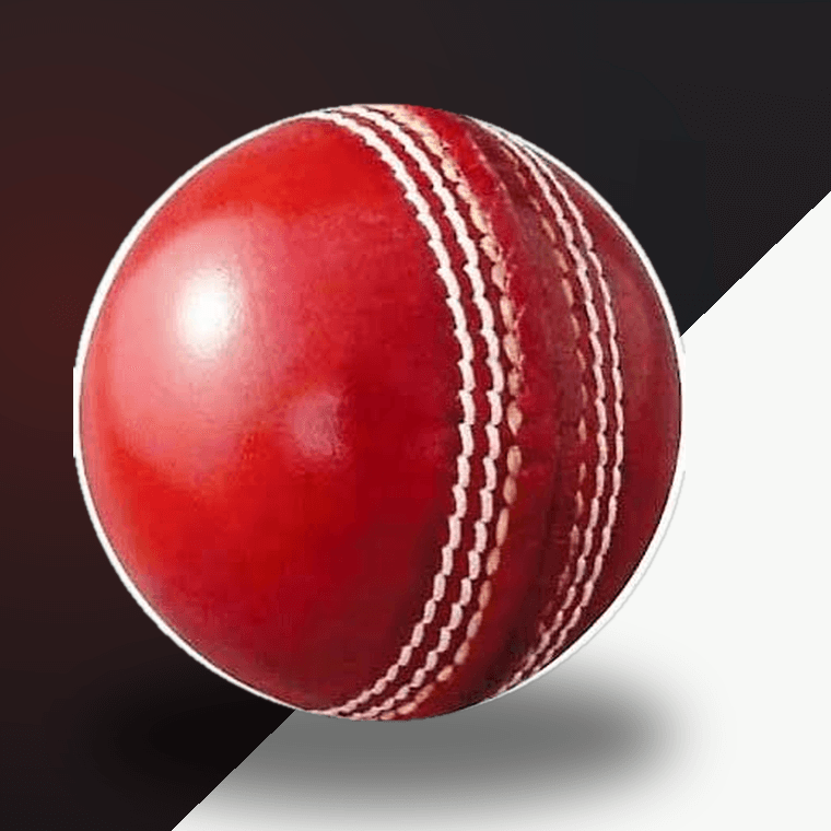 TestMatch Leather Cricket Ball